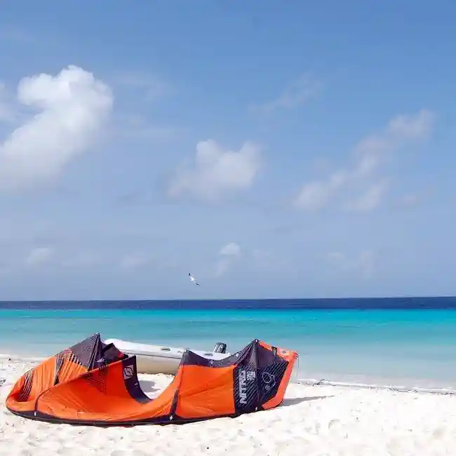 Kite on the beach at Klein Curacao day trip.